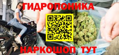 гидропоника Гусев